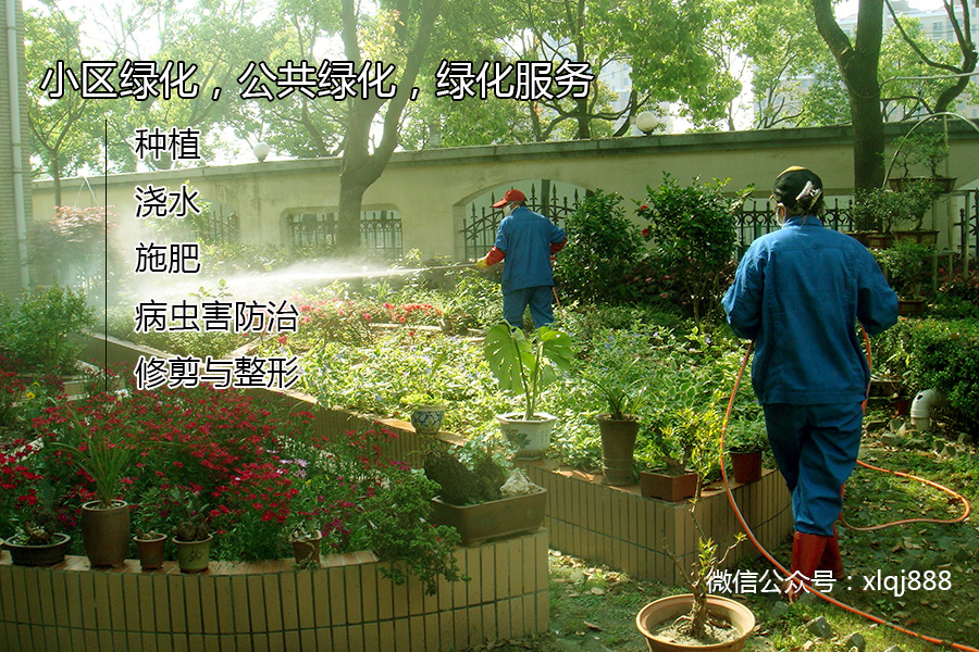 小區(qū)綠化，公共綠化，綠化服務(wù)